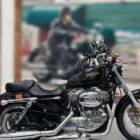 2010 harley davidson sportster xl 883 cilindrada de 883 00