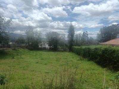 Terreno en Venta en  Amagua&ntilde;a.