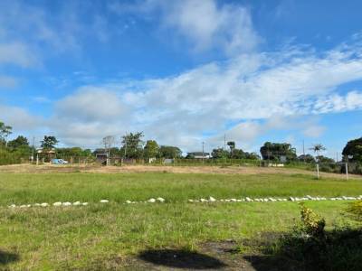 RENTA TERRENO COMERCIAL VIA CHONE KM 10 SANTO DOMI