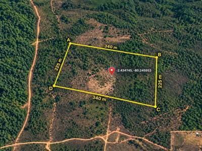 VENTA EN SAN LORENZO DEL MATE-TERRENO DE 15,13 HAS
