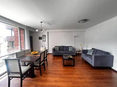 Departamento de 2 Dorm., 89 m&sup2;, con o Sin Muebles, Jos&eacute; Tamayo. Sin Cortes de Luz